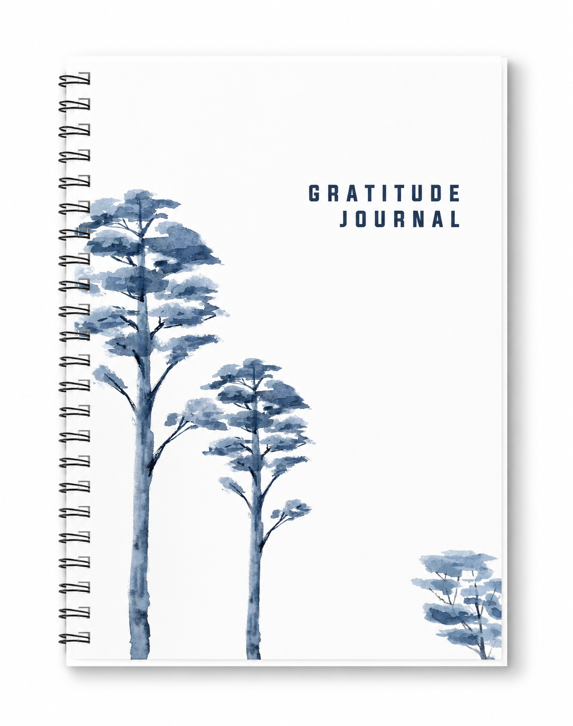 Timewise Find More Joy: Daily Gratitude Journal A5 Size 126 Pages